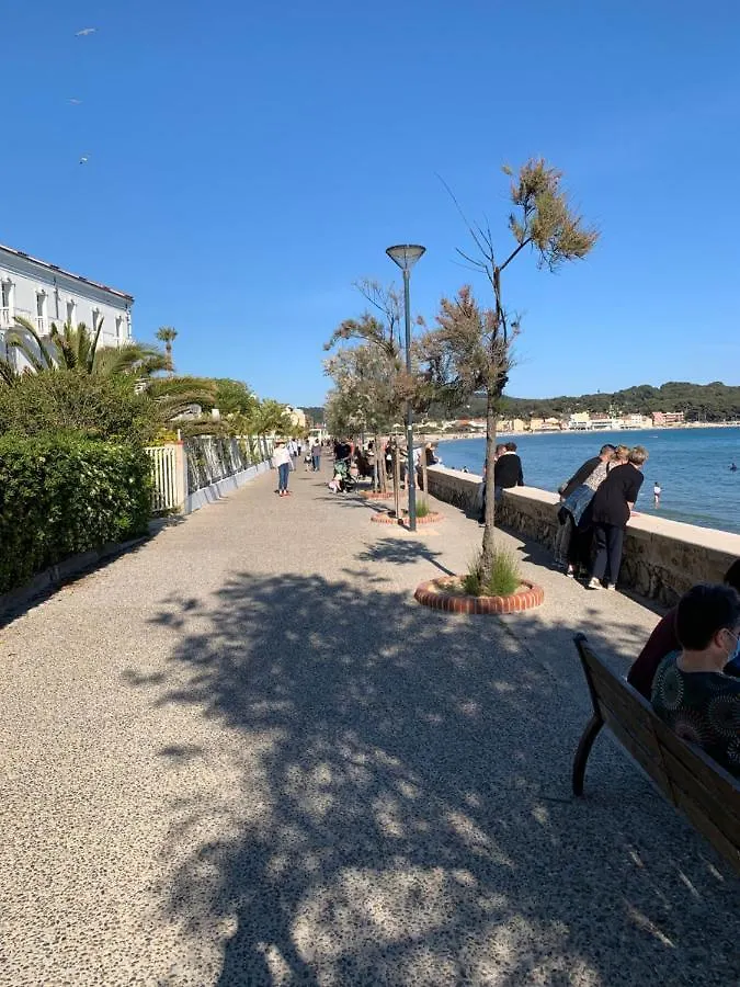 Studio Le Bali Avec Wifi A 100M De La Plage Lägenhet La Seyne-sur-Mer